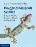 Mechanical Behavior of Materials