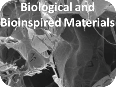 Biological & Bioinspired Materials